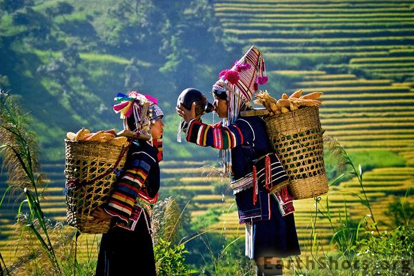 9877126e05c0ac53a4364d180d2a2888